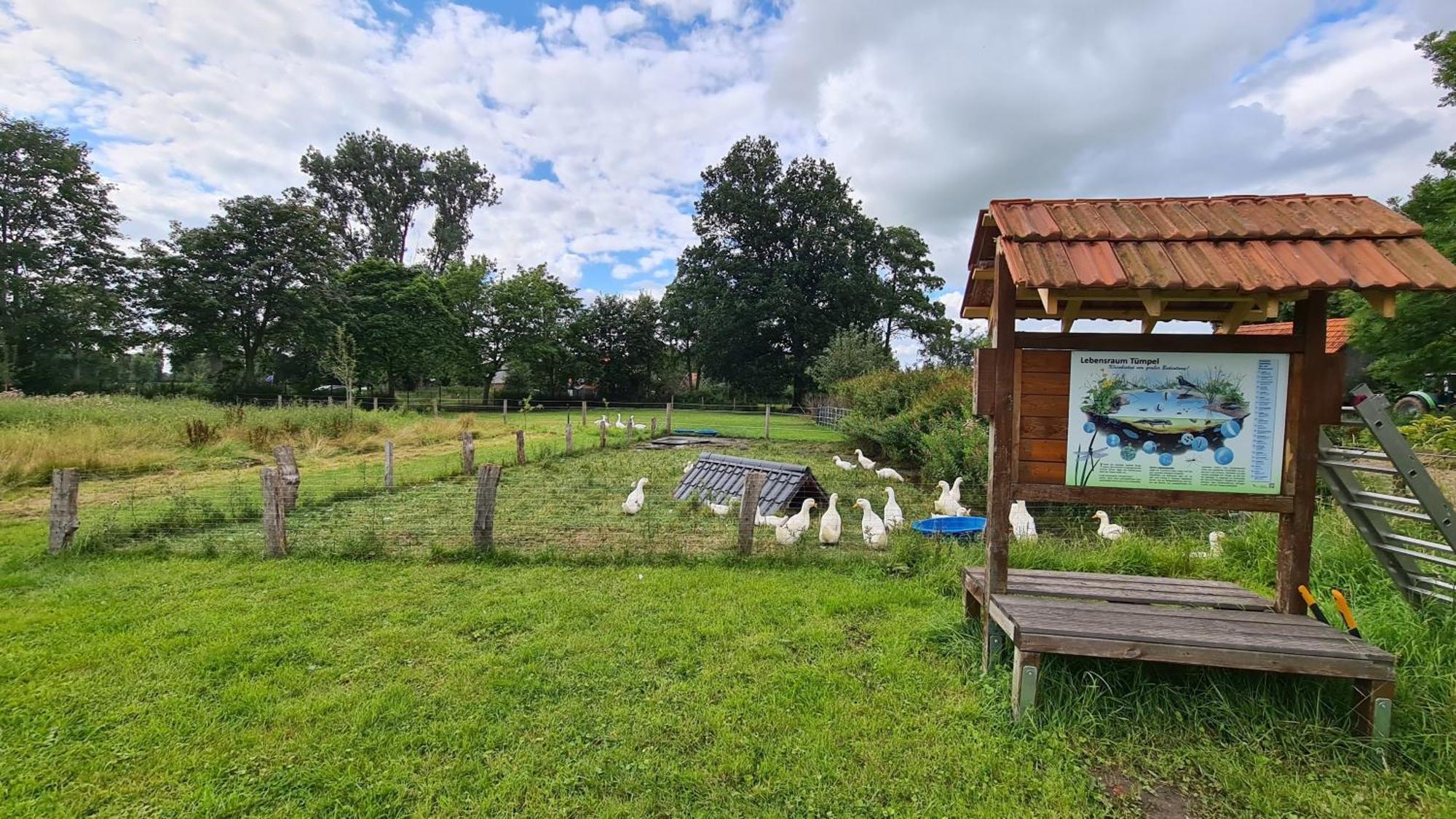 Naturhof Buschwiesen - Wohnung Lama Wilsum Экстерьер фото
